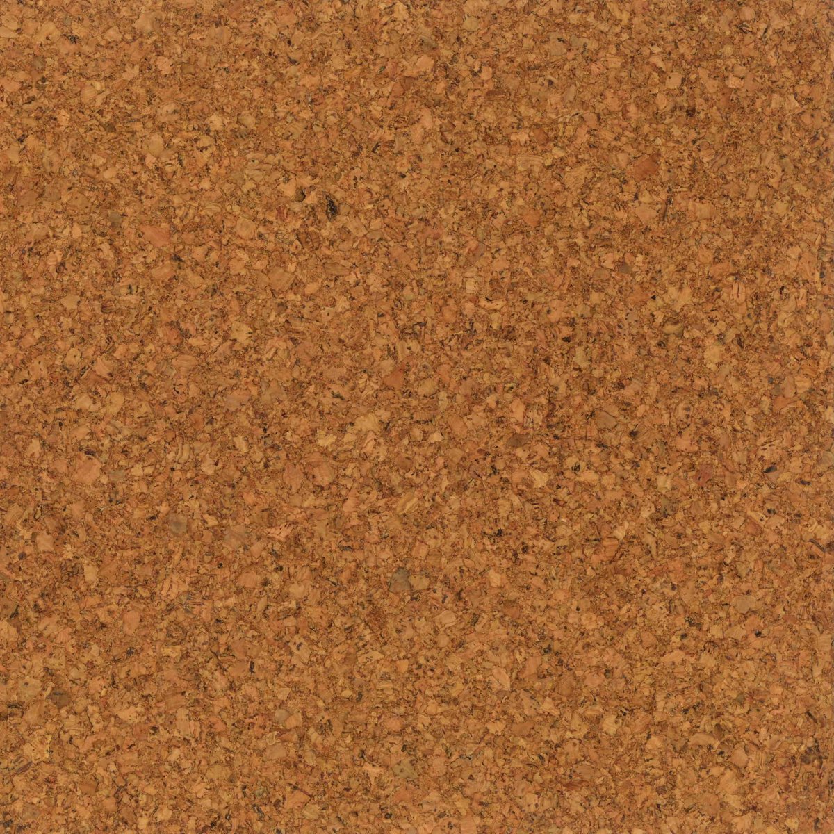 cork floor texture www pixshark com images galleries with a bite cork floor texture www pixshark com images galleries with a bite